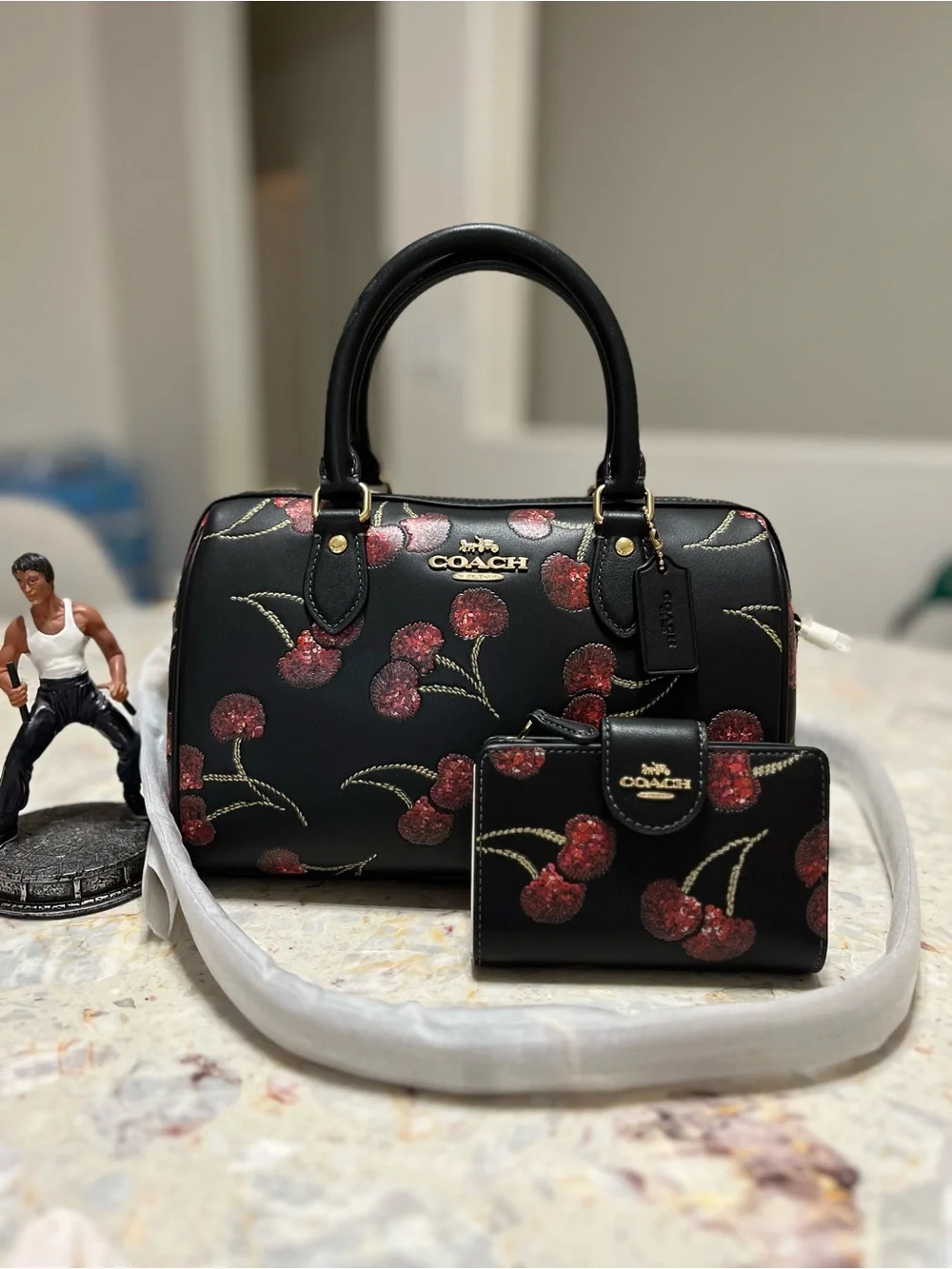 Bundle Coach  Rowan Satchel Bag With Cherry Print and wallet NWT